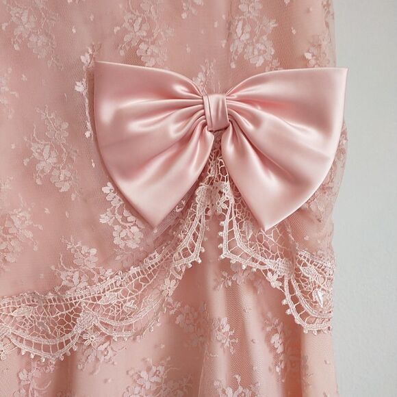 Vtg Barbara Chodos Michael Marcella Dress 12 Pink Floral Lace DropWaist Victoria - Picture 3 of 12